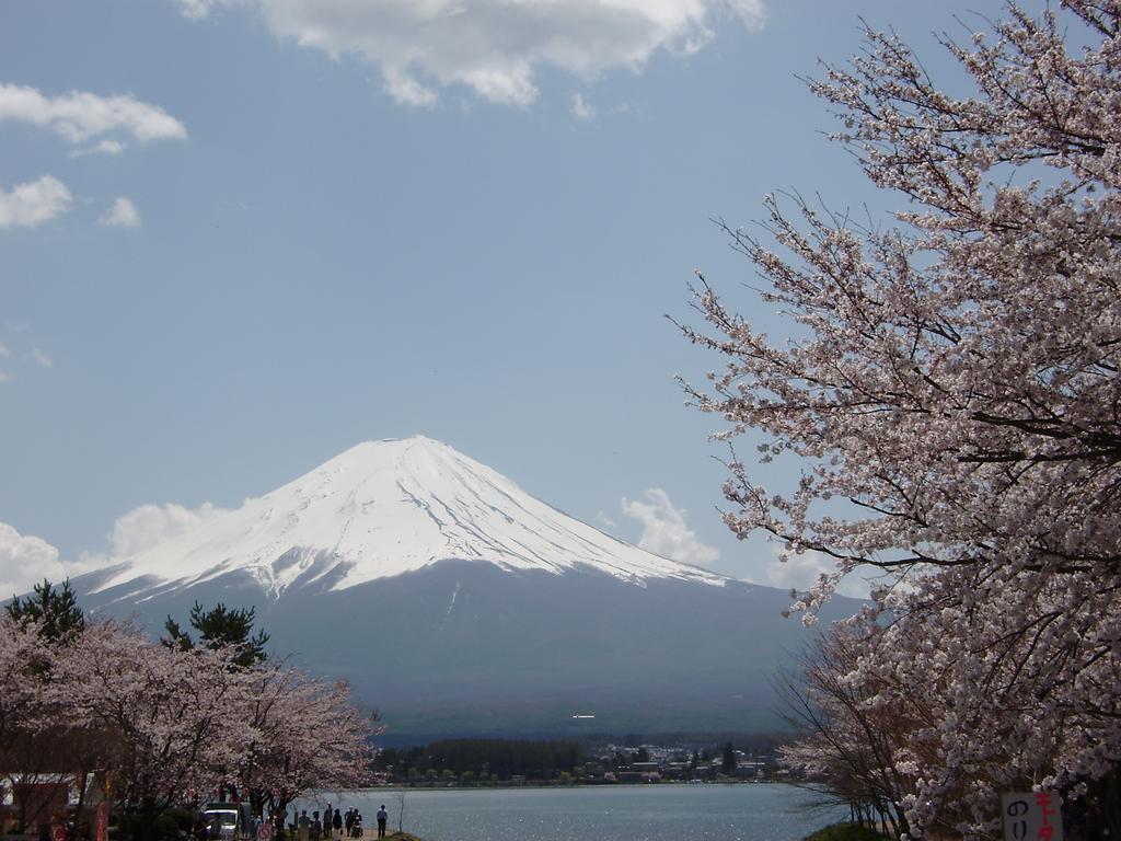Villa Lupinus Kawaguchiko Фуджикавагучико Екстериор снимка