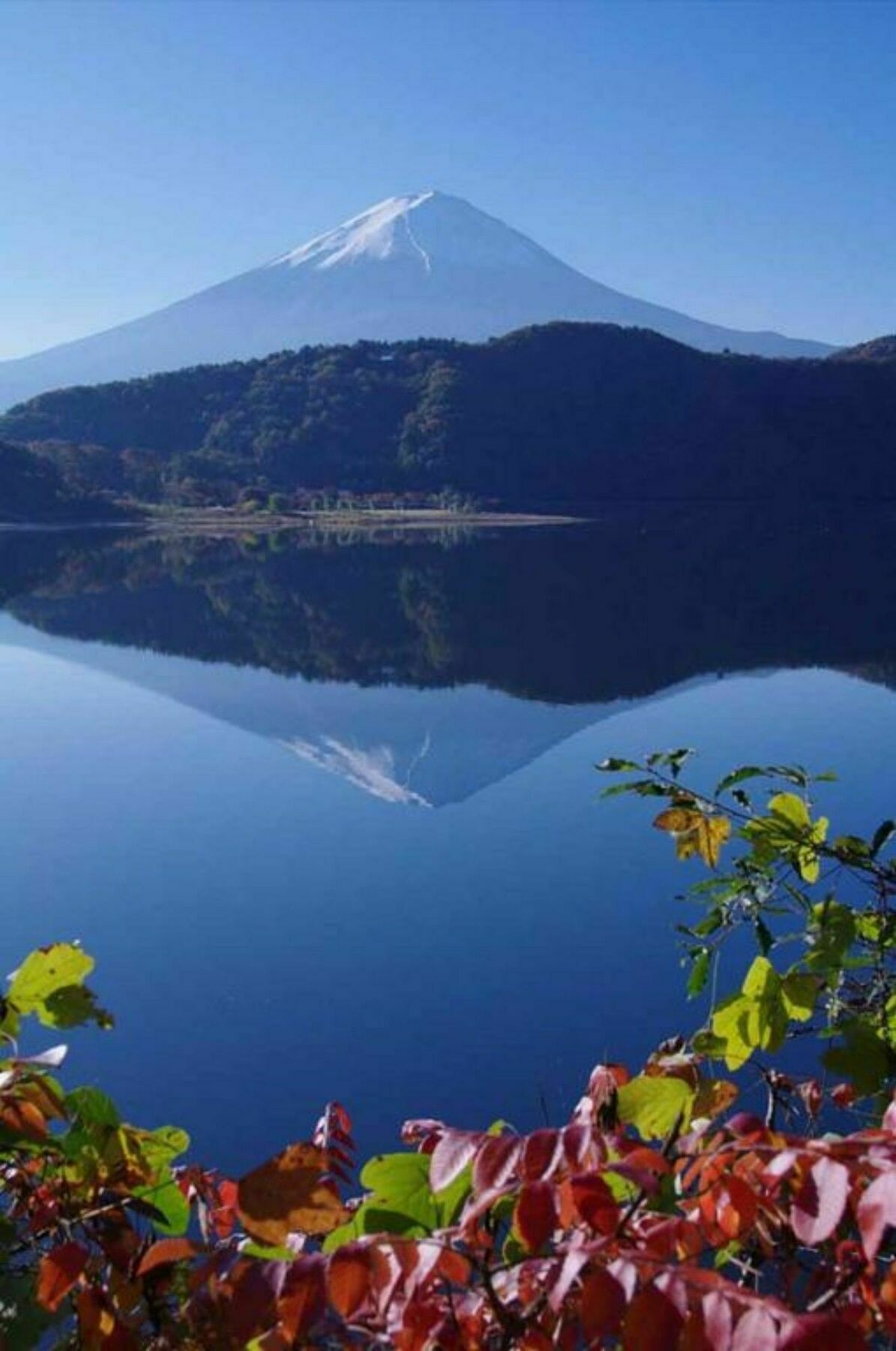 Villa Lupinus Kawaguchiko Фуджикавагучико Екстериор снимка