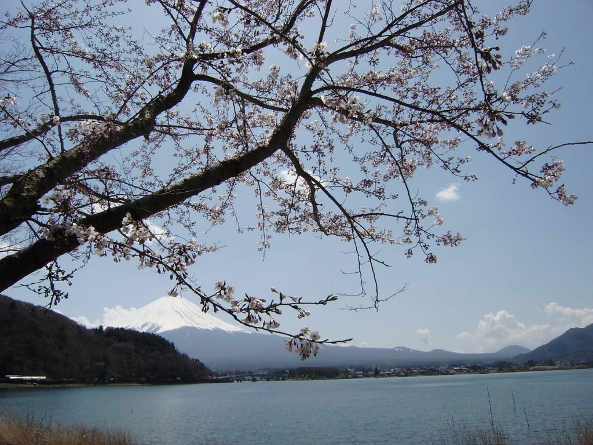 Villa Lupinus Kawaguchiko Фуджикавагучико Екстериор снимка